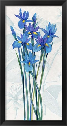 Framed Blue Iris Panel I Print