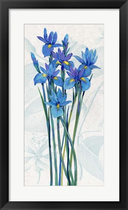 Framed Blue Iris Panel I Print