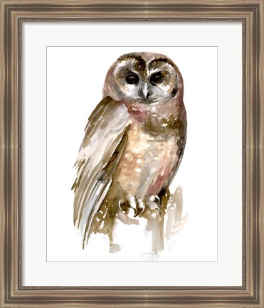 Framed Watercolor Owl II Print