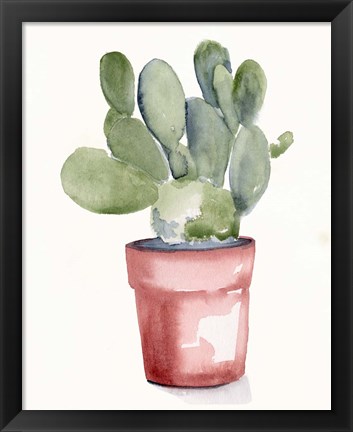 Framed Potted Succulent I Print