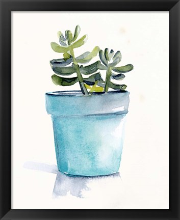 Framed Potted Succulent II Print