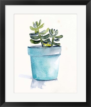 Framed Potted Succulent II Print