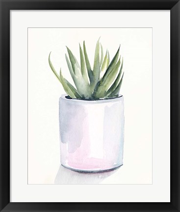 Framed Potted Succulent III Print