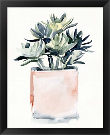 Framed Potted Succulent IV Print