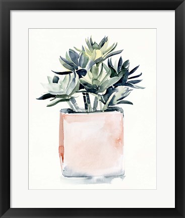 Framed Potted Succulent IV Print