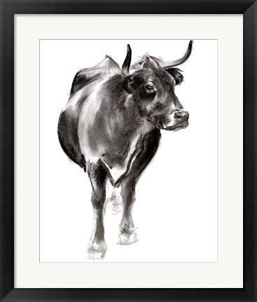 Framed Charcoal Cattle I Print