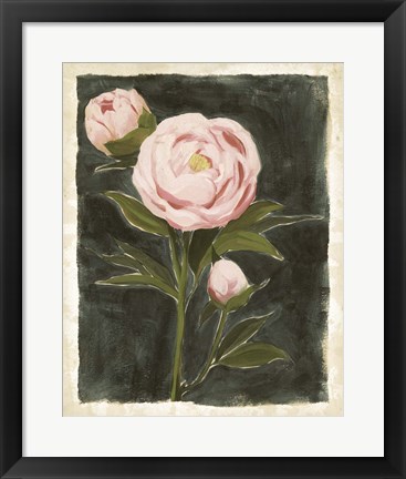 Framed Vintage Peonies I Print