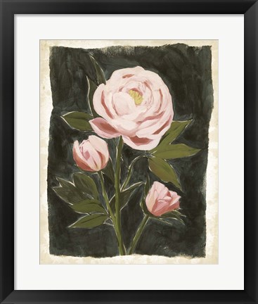 Framed Vintage Peonies II Print