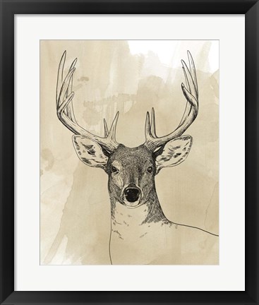 Framed Burnished Buck II Print