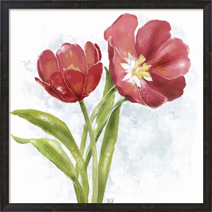 Framed Red Tulip Splash I Print