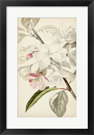 Framed Silvery Botanicals VIII Print