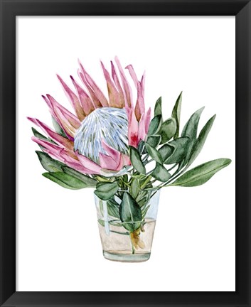 Framed Awaken Protea II Print