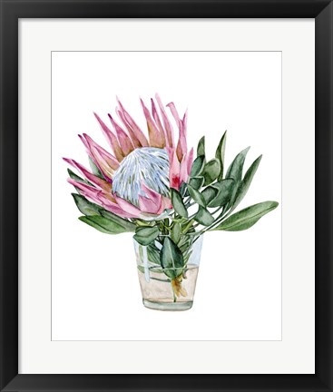 Framed Awaken Protea II Print