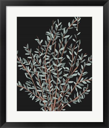 Framed Gunni Eucalyptus I Print