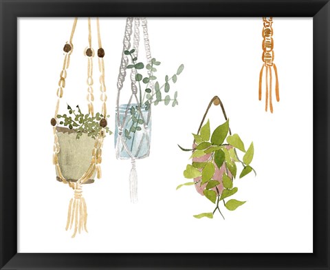 Framed Hanging Greens II Print