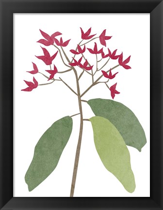 Framed Begonia Stem I Print