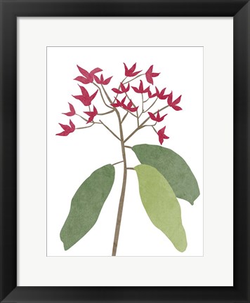 Framed Begonia Stem I Print