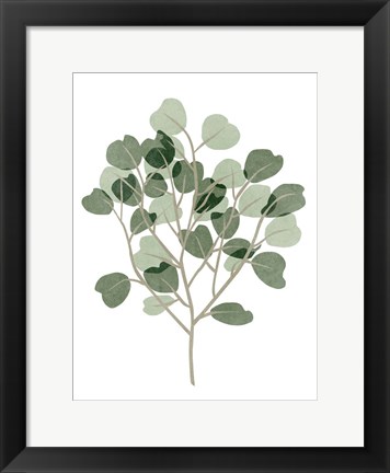 Framed Windy Eucalyptus II Print