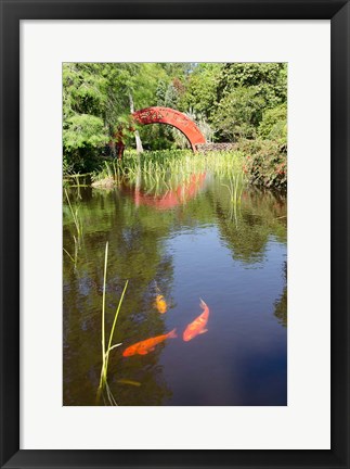 Framed Alabama, Theodore Bridge and Koi Pond at Bellingrath Gardens Print