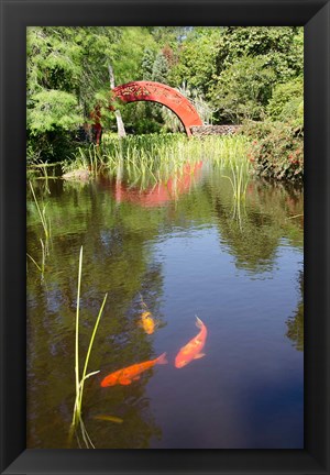 Framed Alabama, Theodore Bridge and Koi Pond at Bellingrath Gardens Print