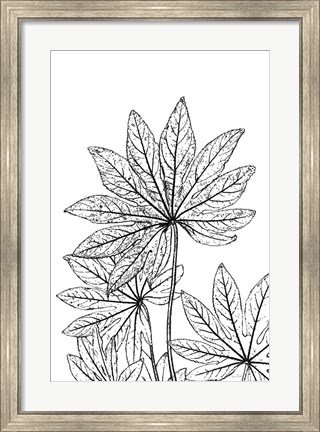 Framed Botanical BW III Print