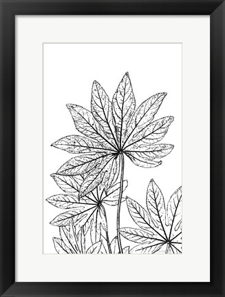 Framed Botanical BW III Print