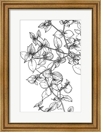 Framed Leafy BW Print