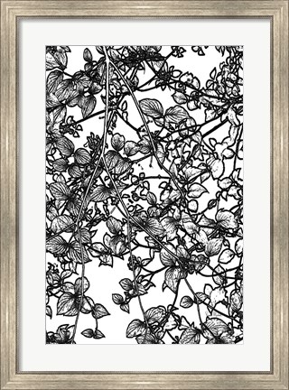 Framed Leafy BW III Print