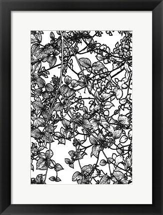 Framed Leafy BW III Print