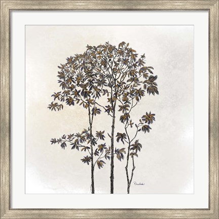 Framed Leafy Treetop Print