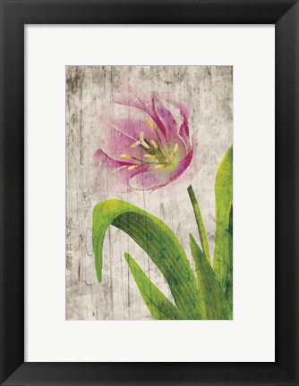 Framed Tulips I Print