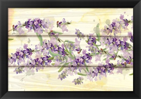 Framed Floral Lavender III Print