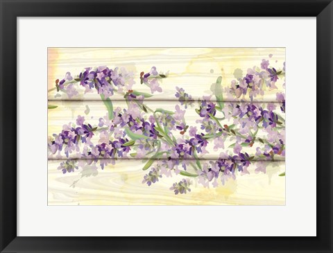 Framed Floral Lavender III Print