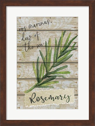 Framed Rosemary Print