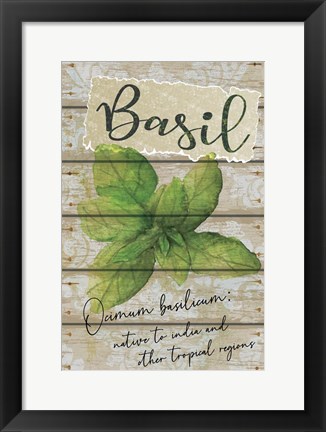 Framed Basil Print