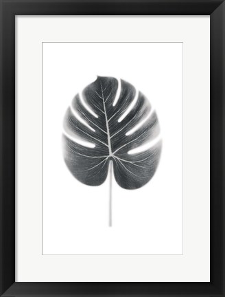 Framed Palm III Print