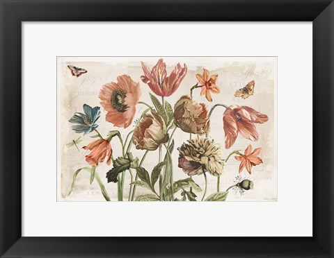 Framed Antiquarian Blooms II Print