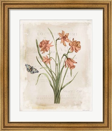 Framed Antiquarian Blooms V Print