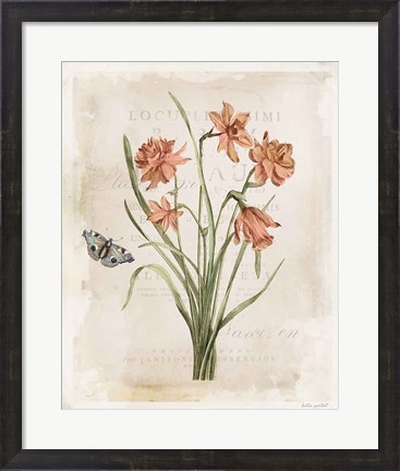 Framed Antiquarian Blooms V Print