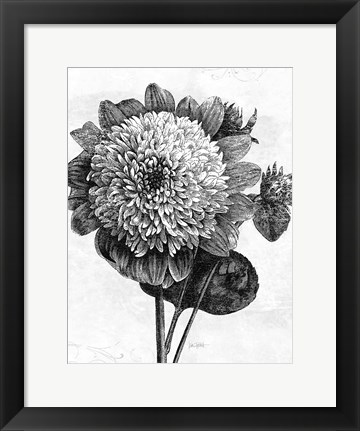 Framed Spa Botanical II BW Crop Print