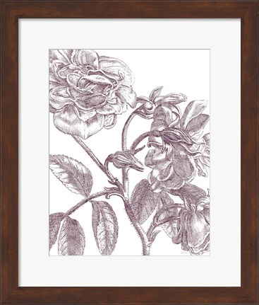 Framed Belle Fleur I Plum Crop Print