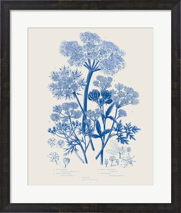 Framed Flowering Plants VI Mid Blue Print