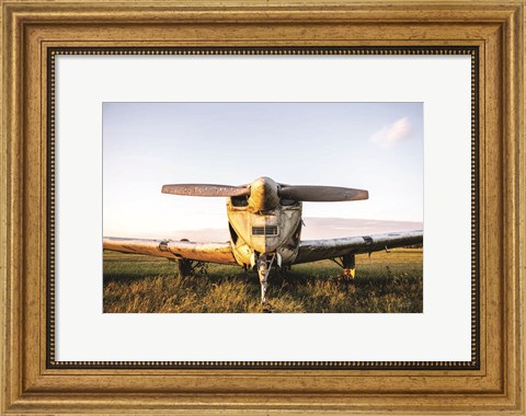 Framed Last Flight I  Hold Print