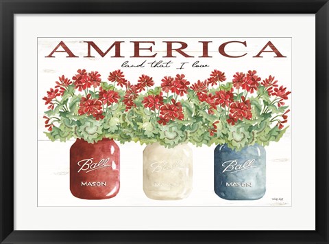 Framed America Glass Jars Print