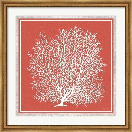 Framed Coastal Coral on Red II Print