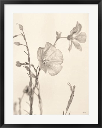 Framed Faded Flower II Print