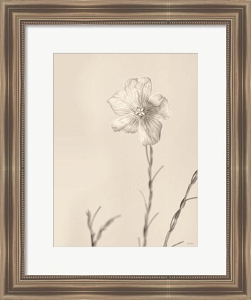 Framed Faded Flower III Print