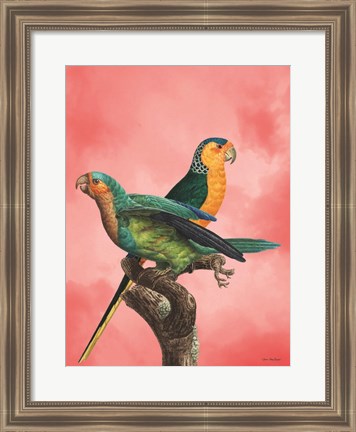 Framed Birds and the Pink Sky I Print