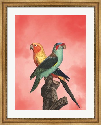 Framed Birds and the Pink Sky II Print