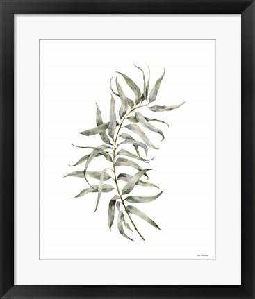 Framed Eucalyptus I Print